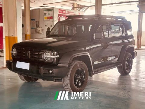 2024 Tank 300 2.0T Conqueror - ავტომობილი ჩინეთიდან