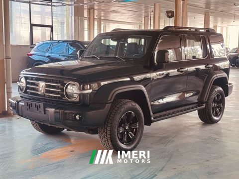 2021 Tank 300 Off-Road Edition 2.0T Conqueror - ავტომობილი ჩინეთიდან