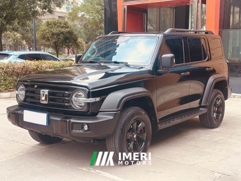 2025 Tank 300 2.0T Gasoline Challenger - ავტომობილი ჩინეთიდან