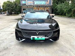 Voyah Lantu Zhaoguang 2024 PHEV AWD Ultra-Long Range Flagship - ფოტო 3