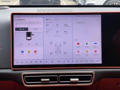 Li Auto L6 Pro - ფოტო 13
