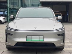 Tesla Model Y Long Range All-Wheel Drive - ფოტო 2