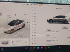 Tesla Model Y Long Range All-Wheel Drive - ფოტო 7
