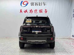 Great Wall Dachshund 2024 1.5T DCT Border Collie Edition - ფოტო 17