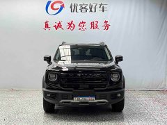 Great Wall Dachshund 2024 1.5T DCT Border Collie Edition - ფოტო 2