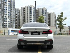 BMW 5 Series 530Li Premier M Sport Package - ფოტო 8