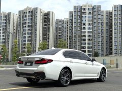 BMW 5 Series 530Li Premier M Sport Package - ფოტო 9