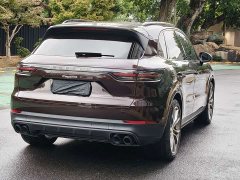Porsche Cayenne 3.0T Platinum Edition - ფოტო 13