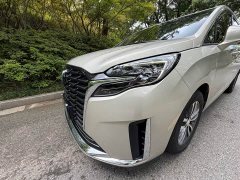Buick GL8 ES Luxe Enjoyment Edition - ფოტო 12