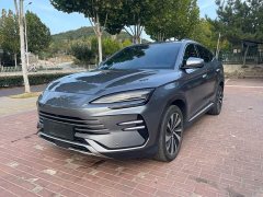 BYD Song Plus New Energy 2023 Champion Edition DM-i 110KM Flagship Plus - ფოტო 1