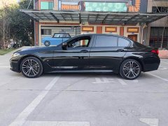 BMW 5 Series Facelift 530Li Premier M Sport Package - ფოტო 15