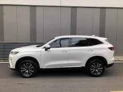 Haval H6 Third Generation 1.5T Automatic Two-Wheel Drive Max - ფოტო 12