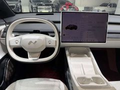 Nio Lerado L60 2024 60kWh Rear-Wheel Drive - ფოტო 8