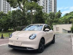 ORA Good Cat 2024 401km Luxury - ფოტო 1