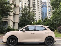 ORA Good Cat 2024 401km Luxury - ფოტო 15