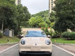 ORA Good Cat 2024 401km Luxury - ფოტო 2