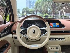 ORA Good Cat 2024 401km Luxury - ფოტო 6