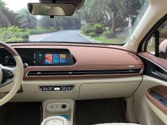 ORA Good Cat 2024 401km Luxury - ფოტო 7