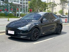 Tesla Model Y Rear-Wheel Drive - ფოტო 1