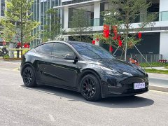 Tesla Model Y Rear-Wheel Drive - ფოტო 3