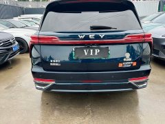 Great Wall WEY Blue Mountain Four-Wheel Drive Extended Range Version - ფოტო 8