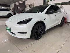 Tesla Model Y Performance All-Wheel Drive - ფოტო 1