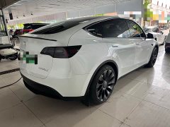 Tesla Model Y Performance All-Wheel Drive - ფოტო 10