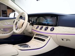 Mercedes-Benz E-Class (Imported) E 260 Coupe - ფოტო 10