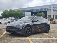 Tesla Model Y Rear-Wheel Drive - ფოტო 1