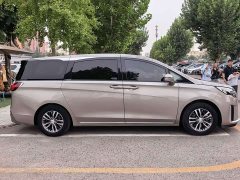 Buick GL8 ES Luxe Enjoyment Edition - ფოტო 3