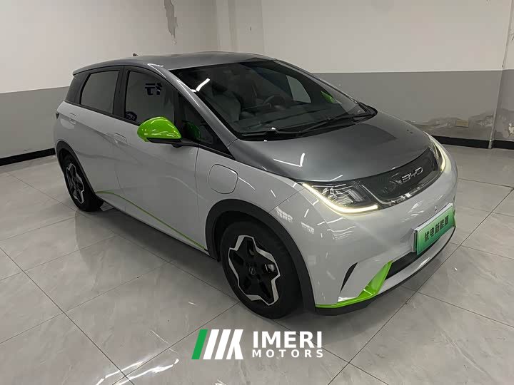 BYD Dolphin 405km Freedom Edition - ავტომობილი ჩინეთიდან