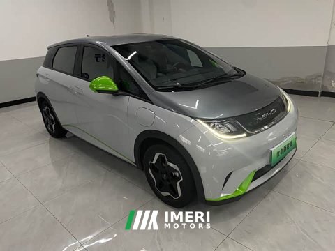 2022 BYD Dolphin 405km Freedom Edition - ავტომობილი ჩინეთიდან