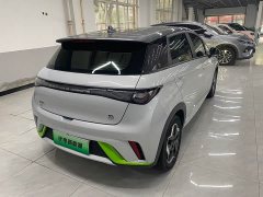 BYD Dolphin 405km Freedom Edition - ფოტო 6