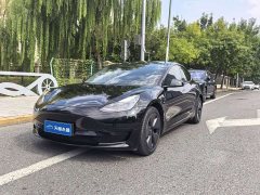 Tesla Model 3 Facelift Standard Range RWD Upgrade 3D1 - ფოტო 1