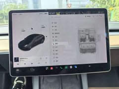 Tesla Model 3 Facelift Standard Range RWD Upgrade 3D1 - ფოტო 14