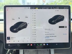Tesla Model 3 Facelift Standard Range RWD Upgrade 3D1 - ფოტო 15