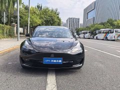 Tesla Model 3 Facelift Standard Range RWD Upgrade 3D1 - ფოტო 2