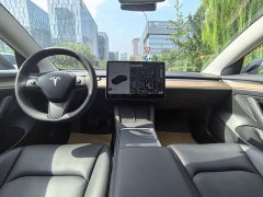 Tesla Model 3 Facelift Standard Range RWD Upgrade 3D1 - ფოტო 9