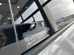 Buick GL8 Luzun Respect Edition - ფოტო 12