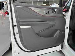 Buick GL8 Luzun Respect Edition - ფოტო 8
