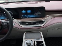 Ford Lingyue EcoBoost 225 Platinum Edition 6-Seater - ფოტო 9