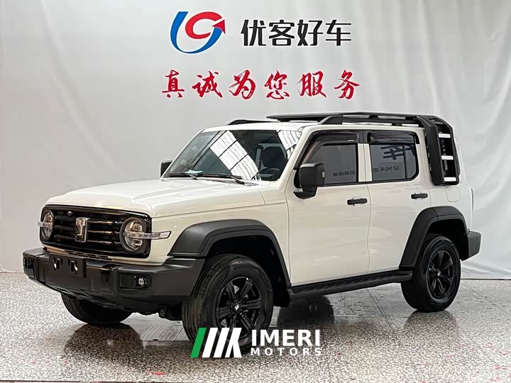 Tank 300 2021 Off-Road Edition 2.0T Conqueror - ავტომობილი ჩინეთიდან
