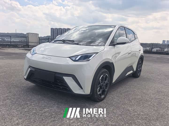 BYD Seagull 305km Freedom Edition - ავტომობილი ჩინეთიდან