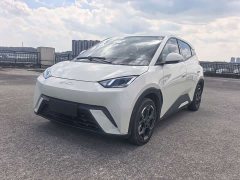 BYD Seagull 305km Freedom Edition - ფოტო 1
