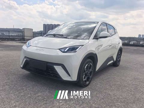 2025 BYD Seagull 305km Freedom Edition - car from China