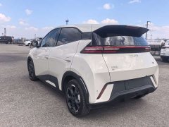 BYD Seagull 305km Freedom Edition - ფოტო 6