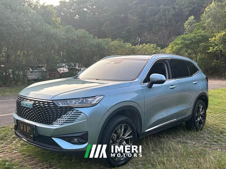 Haval H6 New Energy DHT-PHEV 55KM Comfort Edition
