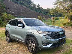 Haval H6 New Energy DHT-PHEV 55KM Comfort Edition - ფოტო 3
