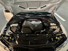 BMW 3 Series 320Li M Sport Package - ფოტო 19