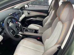BYD Yuan Plus 2023 Champion Edition 430KM Leading - ფოტო 8